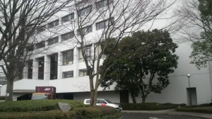 P1000677